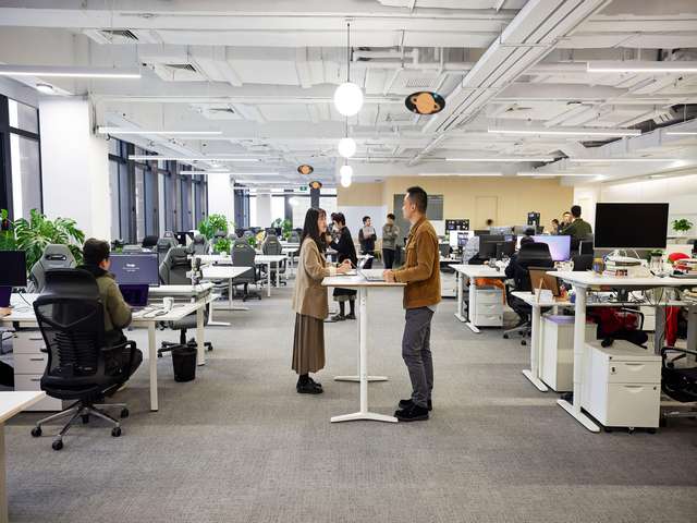 舟山品质宠物毛刷代加工