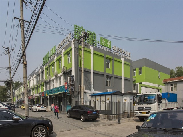 嘉定区葡萄糖哪家好