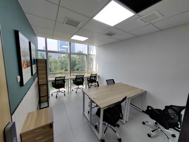 陕西热带年宵花哪些种类